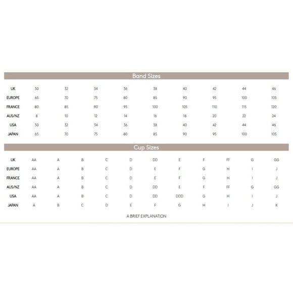 Wacoal Decadence Embroidered Push-Up Bra 32DD Gold Lace Padded Adjustable Straps - Picture 8 of 9